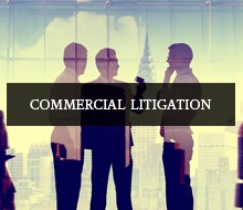 sector_litigation